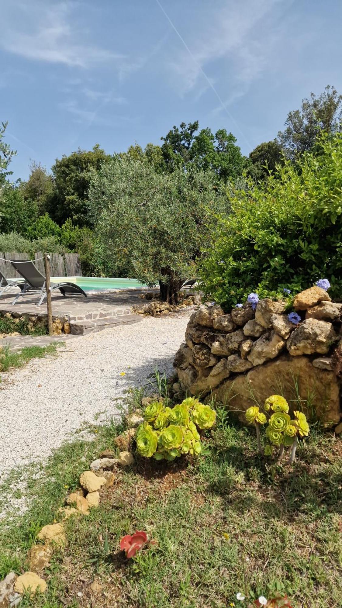 Il Panorama Lägenhet Montescudaio Exteriör bild